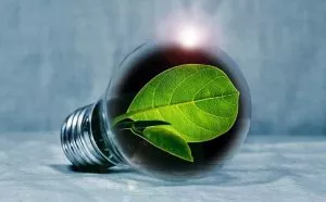 b-cap green light bulb