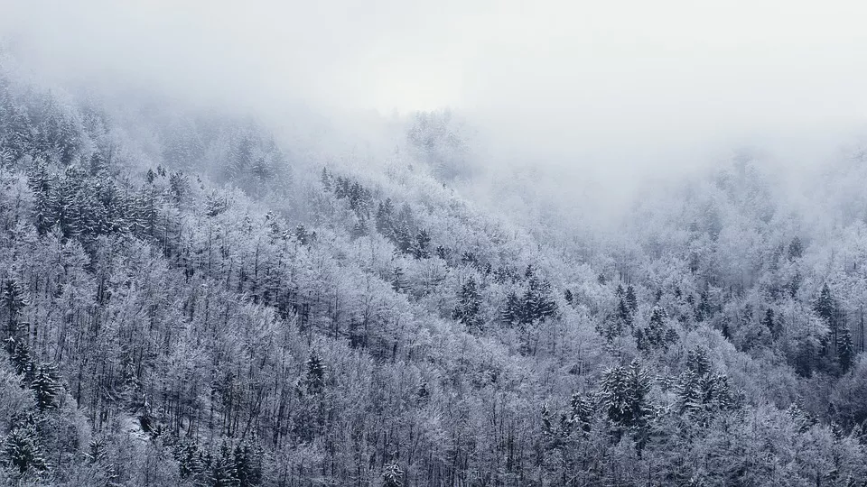 winter is coming b-cap